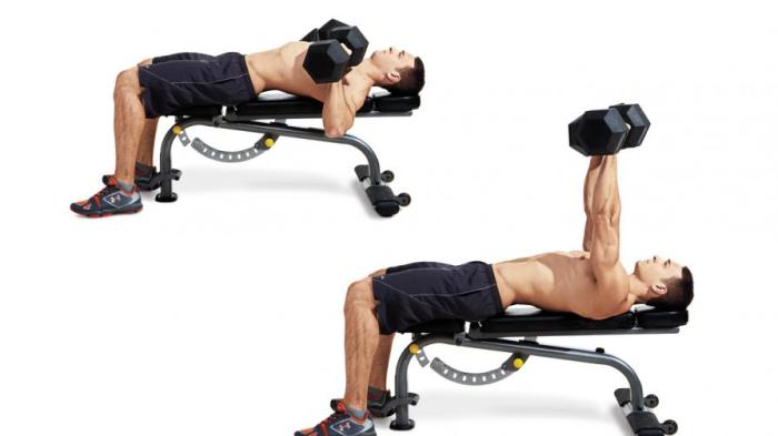 dumbbell-bench-press-chest-weights-main